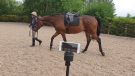 Pivo+ tracking a horse being led by the rider