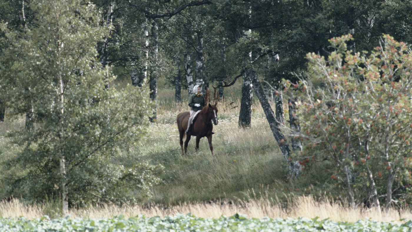 The Queen with horses