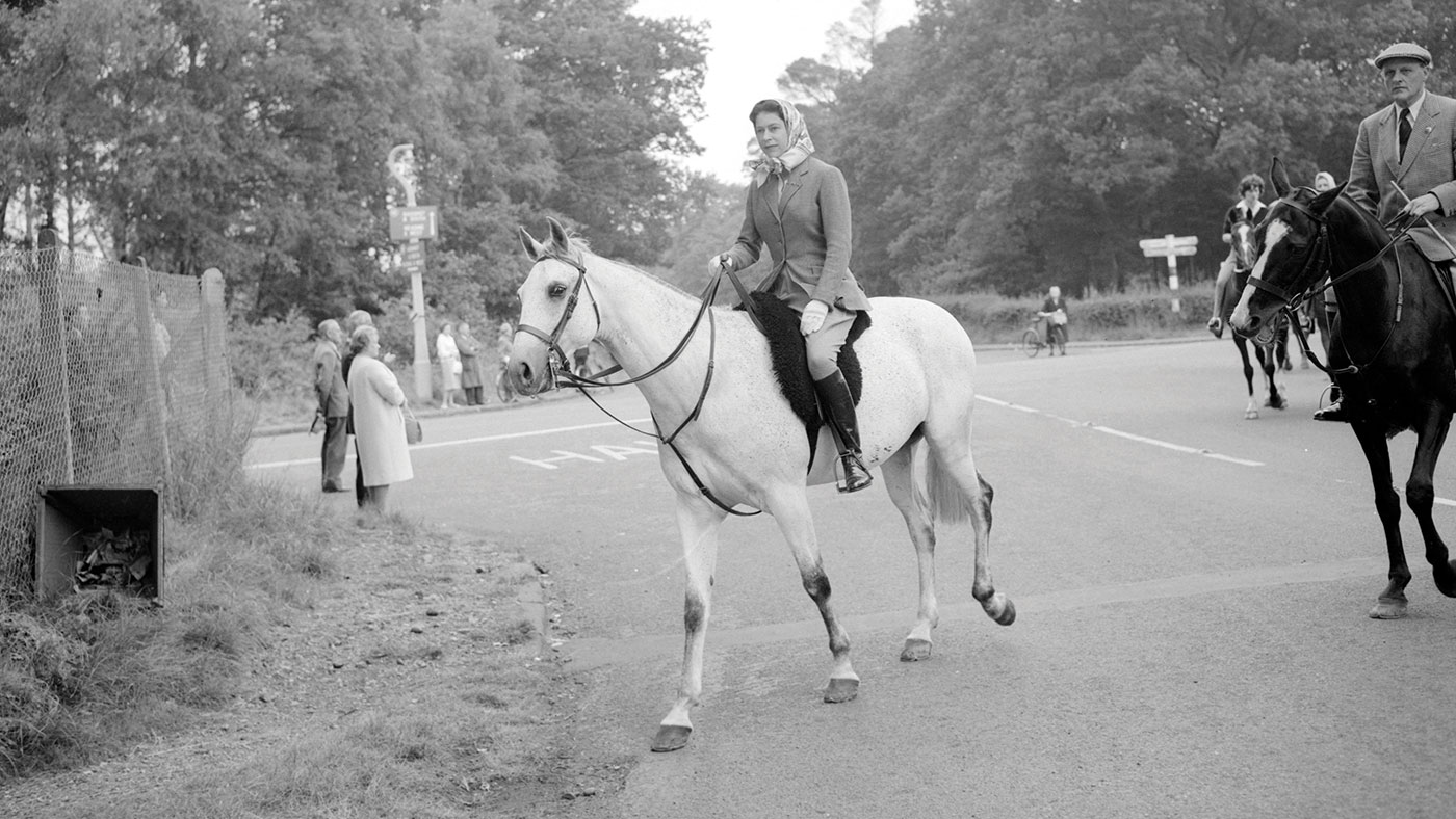 The Queen with horses