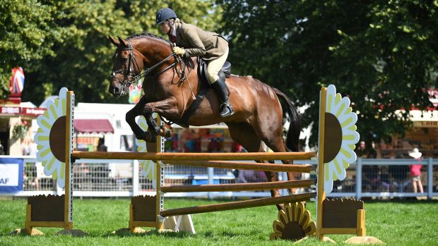 RIHS working hunter pony judge Justine Armstrong-Small