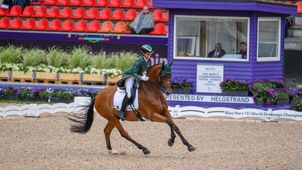 Abi Lyle and Giraldo World Dressage Championships results