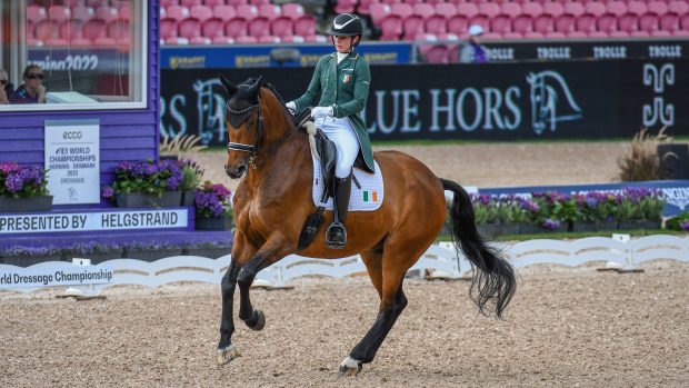 Alex Baker and Dutchman in action for Ireland at the World Dressage Championships 2022