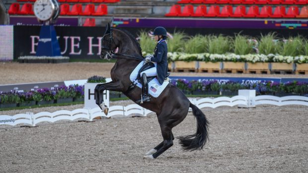 Ashley Holzer and Valentine for the USA at the World Dressage Championships 2022