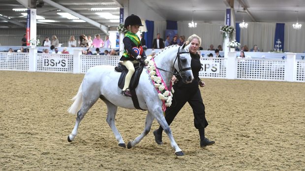 bsps summer championships