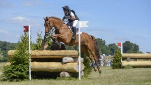 Gatcombe Horse Trials broken bridle: Andrew Downes and Cooley Foxtrot