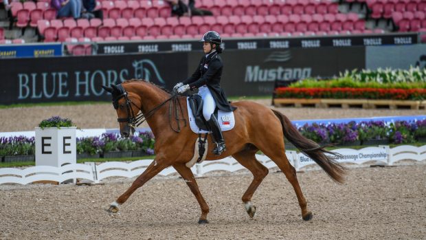 Singapore’s Caroline Chew is currently 11th in the World Dressage Championships results following their grand prix ride