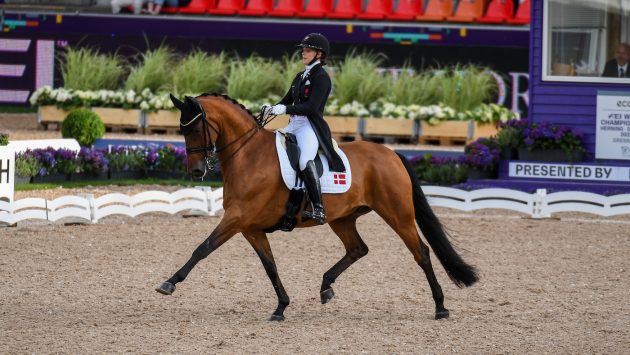 World Dressage Championships results: Cathrine Laudrup-Dufour and Vamos Amigos