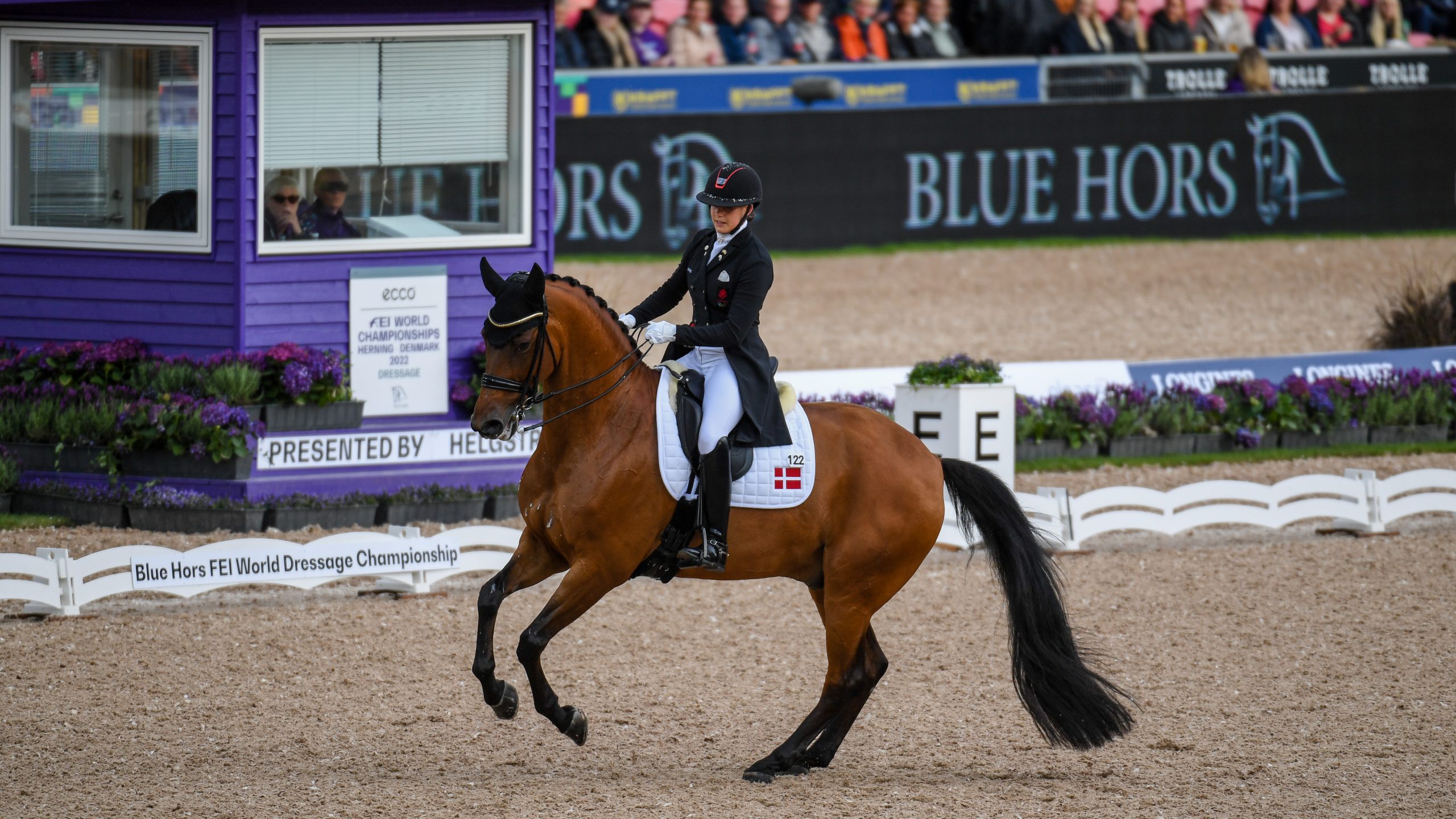 World Dressage Championships results: Catrhine Laudrup-Dufour and Vamos Amigos