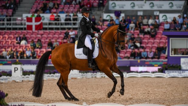 top dressage training tips