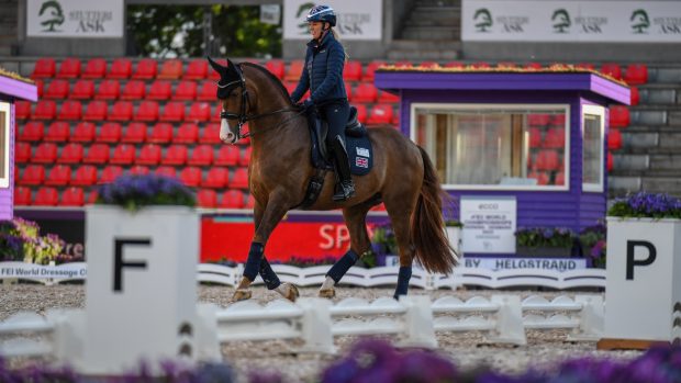 Charlotte Dujardin and Imhotep during arena familiarisation at the World Dressage Championships 2022