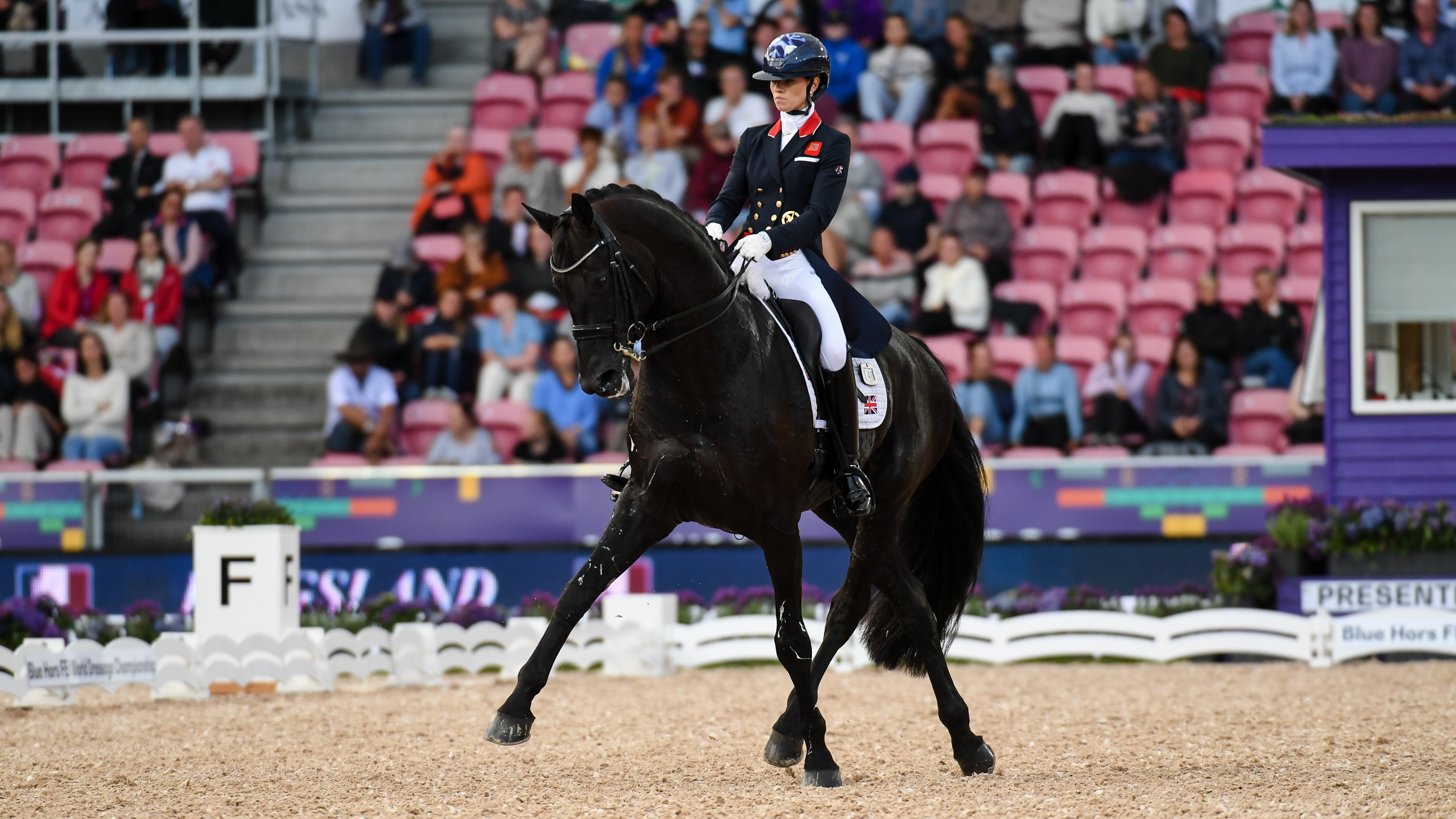 Dressage - cover