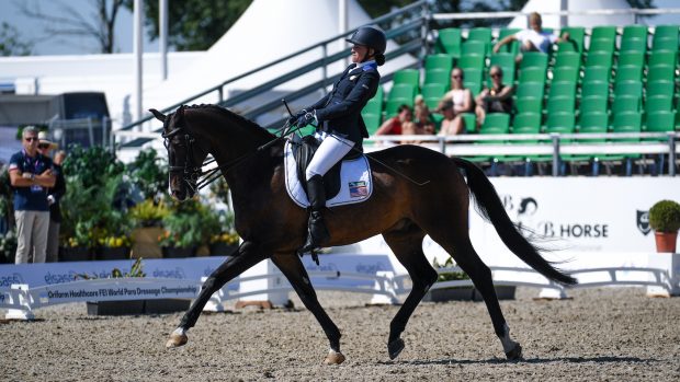 World Para Dressage Championships results: Rebecca Hart