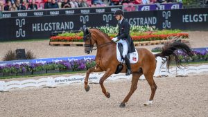 Daniel Bachmann Andersen lies in sixth in the World Dressage Championships results following the grand prix