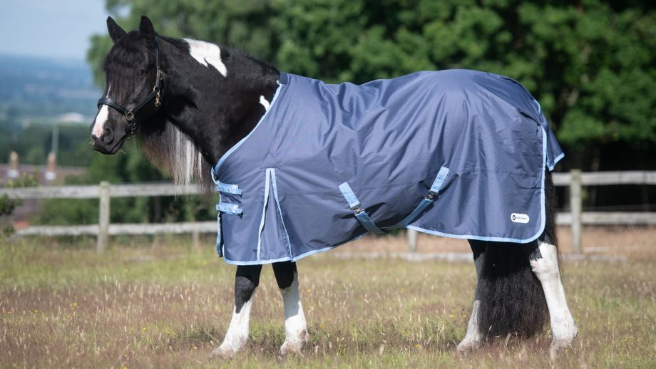 Cheap horse rugs for shopping on a budget Horse & Hound