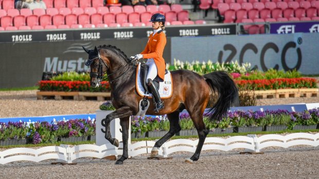 Dinja van Liere and Hermes at the World Dressage Championships 2022