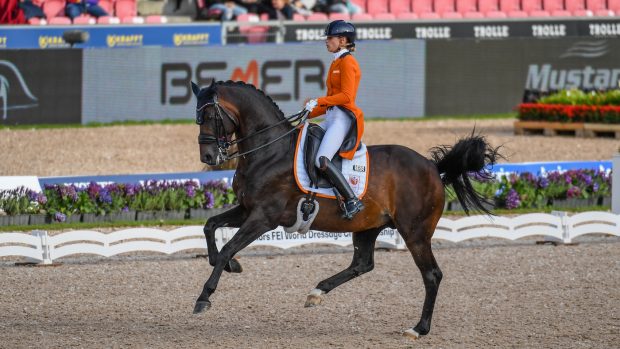 Dinja van Liere heads the World Dressage Championships results following the opening grand prix day