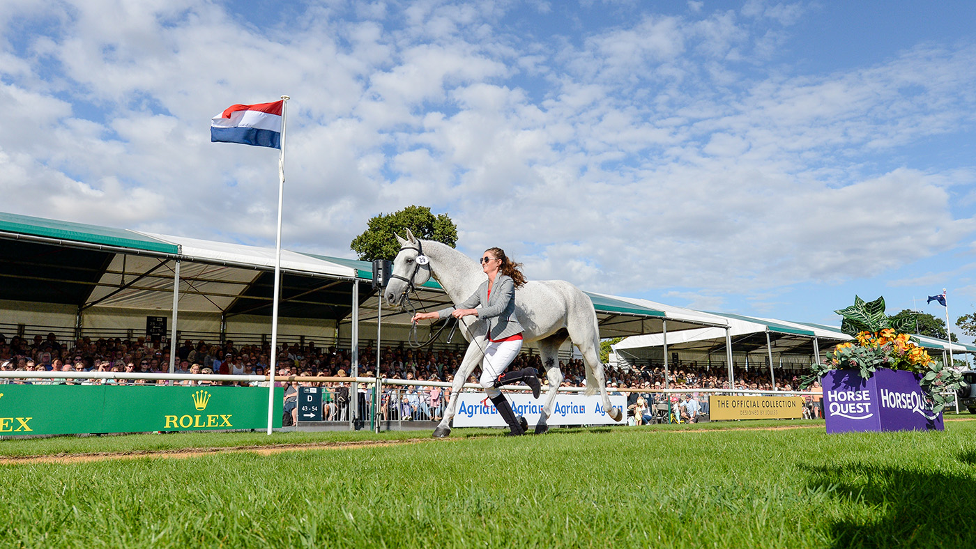 Burghley Horse Trials trot-up photos: Emily Hamel