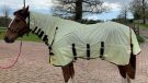 Equilibrium Field Relief Fly Rug