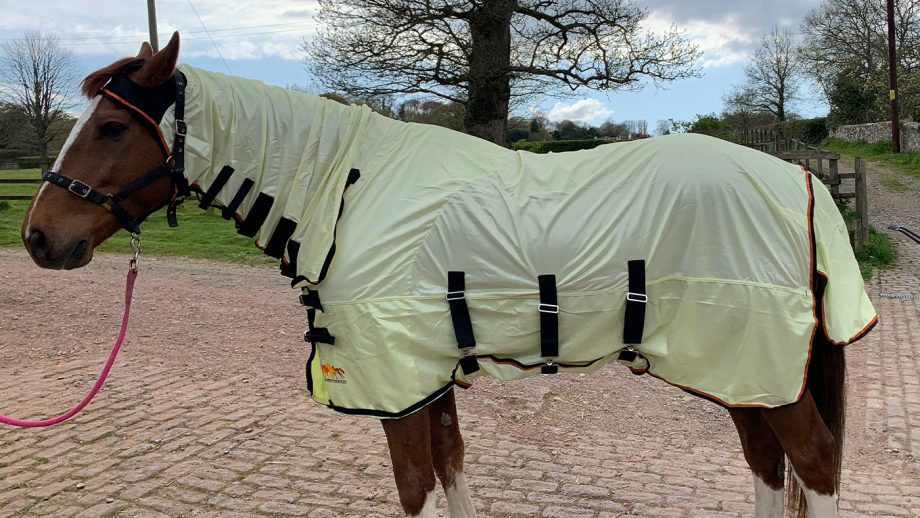 Equilibrium Field Relief Fly Rug