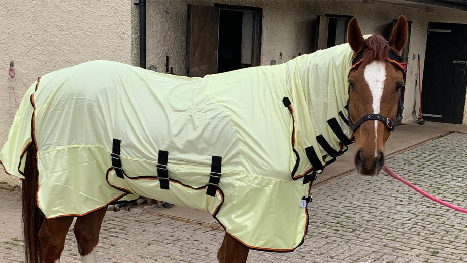 Equilibrium Field Relief Fly Rug
