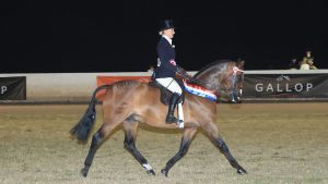 equifest at the east of england showground