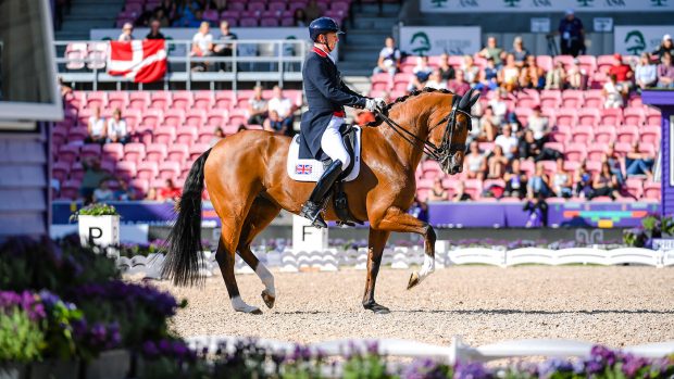 World Dressage Championships results: Gareth Hughes and Classic Briolinca in the grand prix special