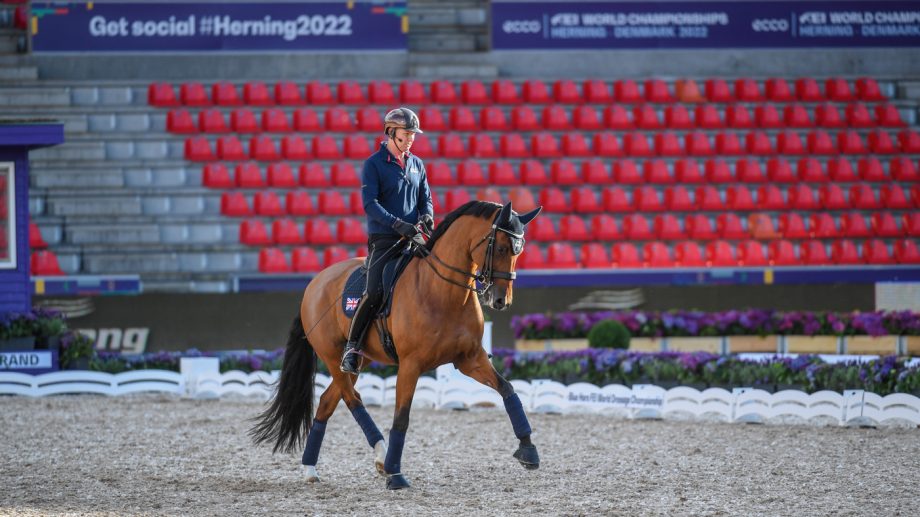 Gareth Hughes and Classic Briolinca have scored +75% in the World Dressage Championships results