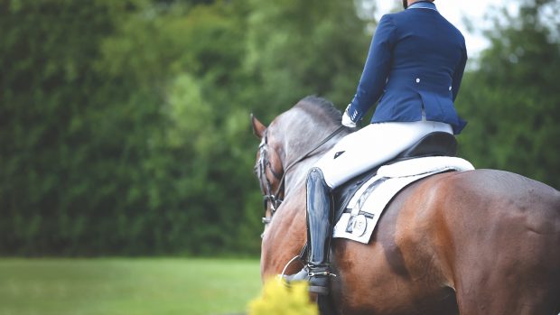The future of horse sport has once again come under discussion