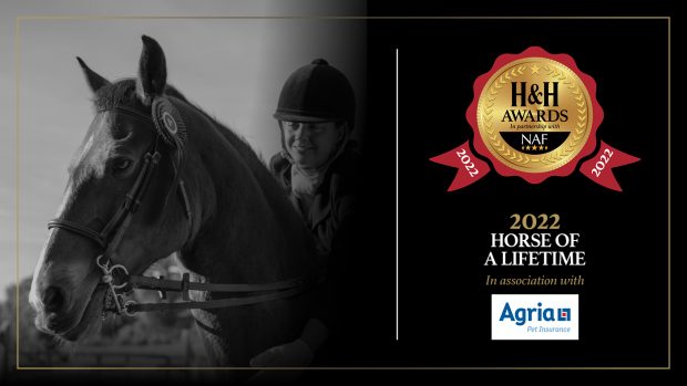Horse of a Lifetime Award