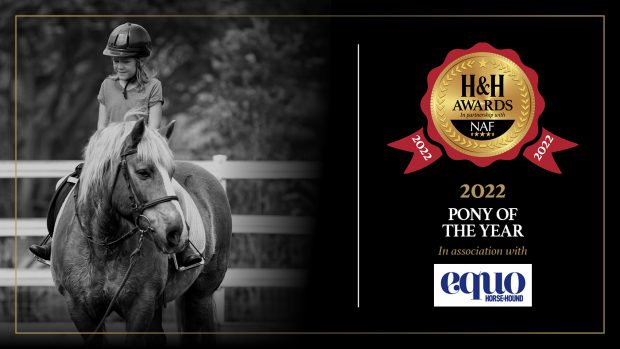 Pony of thre Year 2022