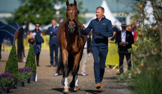 Gareth Hughes presents Classic Briolinca at the World Dressage championships trot-up.