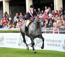 Best Hunter at Dublin Horse Show 2017