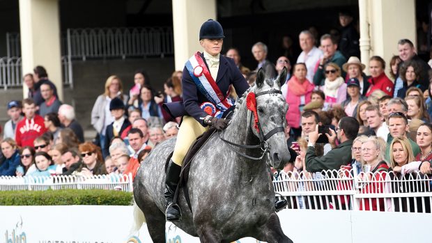 Best Hunter at Dublin Horse Show 2017