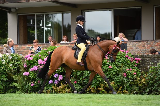 Mia Donaldson guided Wilderness Early Bird to the supreme pony title at the Royal International Horse Show.