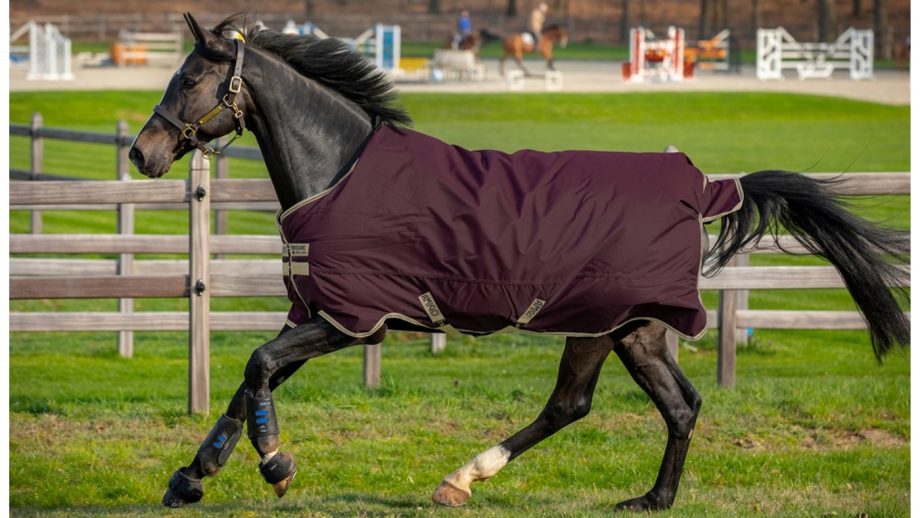 Cheap horse rugs for shopping on a budget Horse & Hound