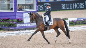 World Dressage Championships results Isabell Werth DSP Quantaz