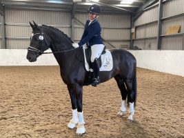 Young horse Mambo made a winning return to competition after losing his eye to uveitis last November