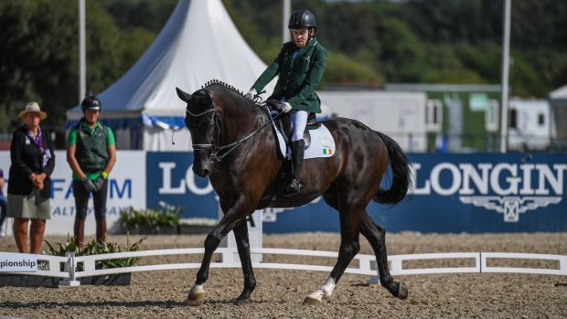 World Para Dressage Championships results Michael Murphy