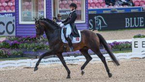 Danish rider Nanna Merrald Rasmussen leads the grand prix World Dressage Championship results halfway through day one