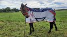 Premier Equine Buster Stay Dry Lite pictured in 6ft