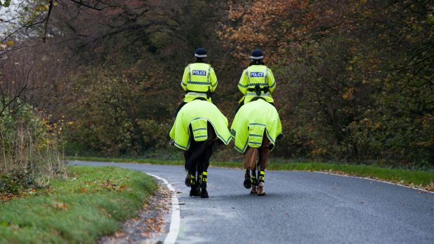 Police forces have announced plans to work with horse owners to tackle equine and rural crime