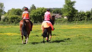 Equine insurance The Government has U-turned on the 2026 definitive map cut-off date for recording historic off-road riding routes, while extending the deadline by five years.