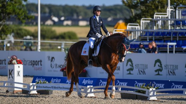 World Para dressage championships Roxanne Trunnell