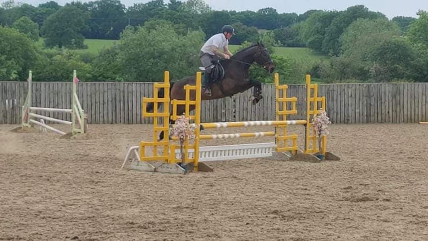 Showjumping cover image