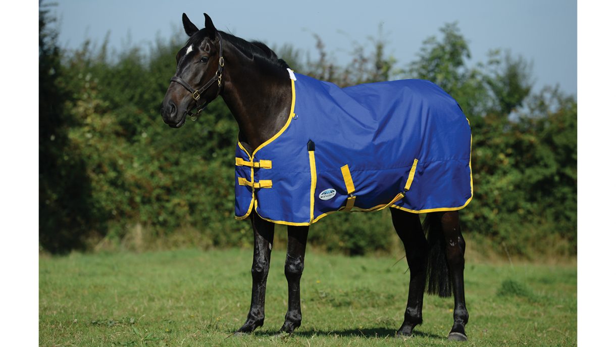 Cheap horse rugs for shopping on a budget Horse & Hound