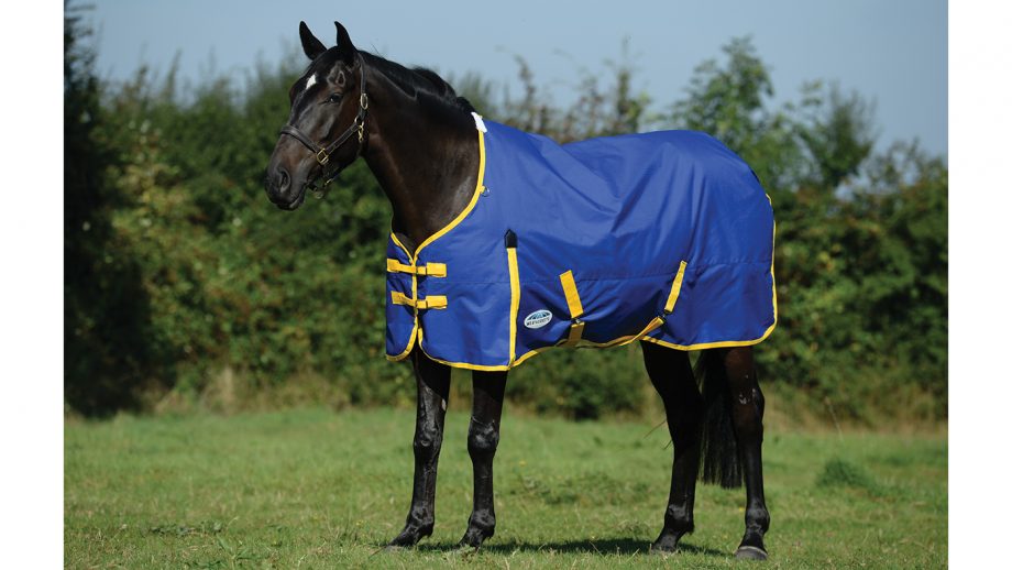 Cheap horse rugs for shopping on a budget Horse & Hound