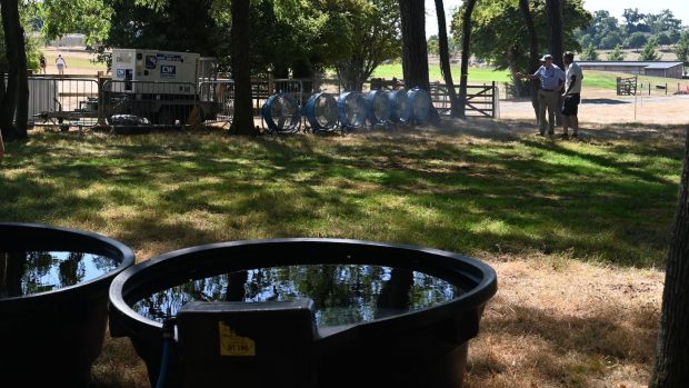 Horse sport climate change: the cross-country finish area at Hartpury