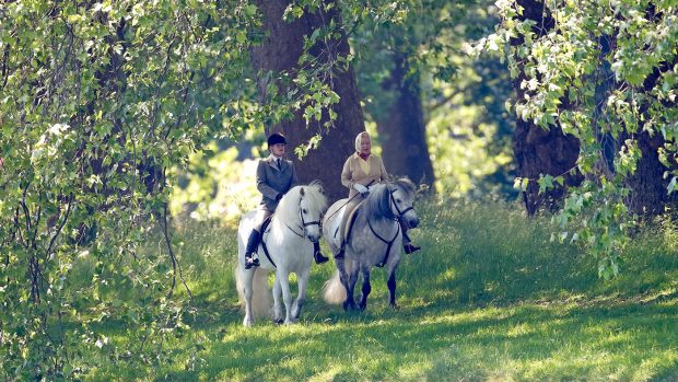 Queen with horses: The Queen riding out in 2006