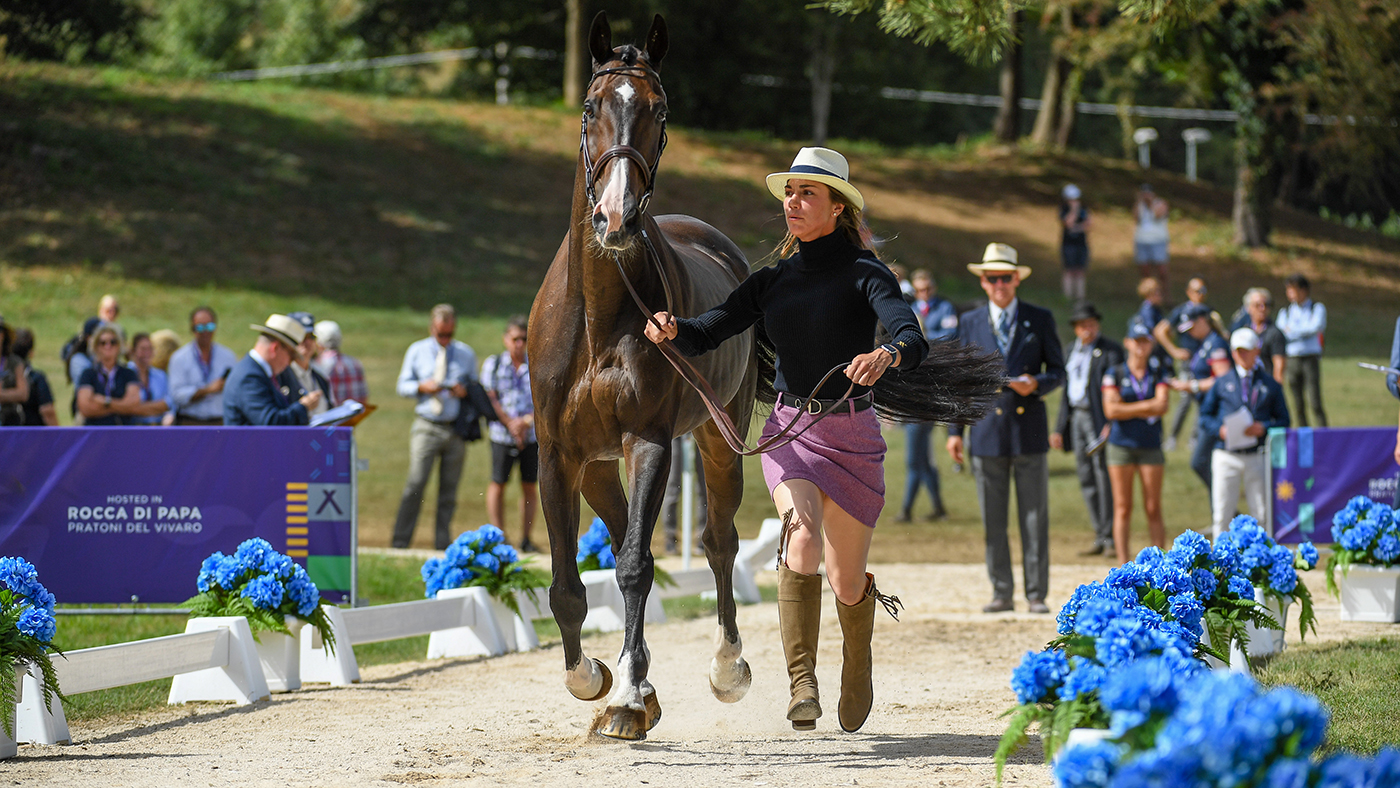 Eventing World Championship trot-up photos: Ariel Grald and Leamore Master Plan
