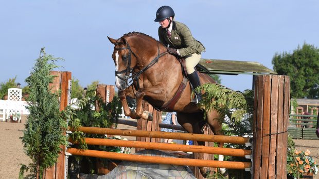 Veuve Clicquot jumping in the Desert Orchid WHP class at the BSPS Summer Championships 2022.